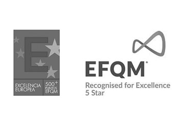 EFQM 500